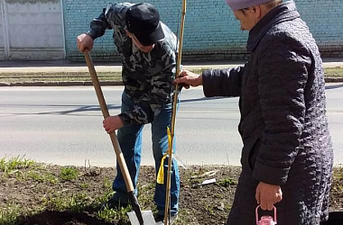 Жители высадили деревья