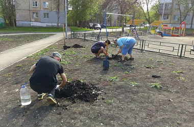 Депутаты оказали содействие жителям в озеленении двора